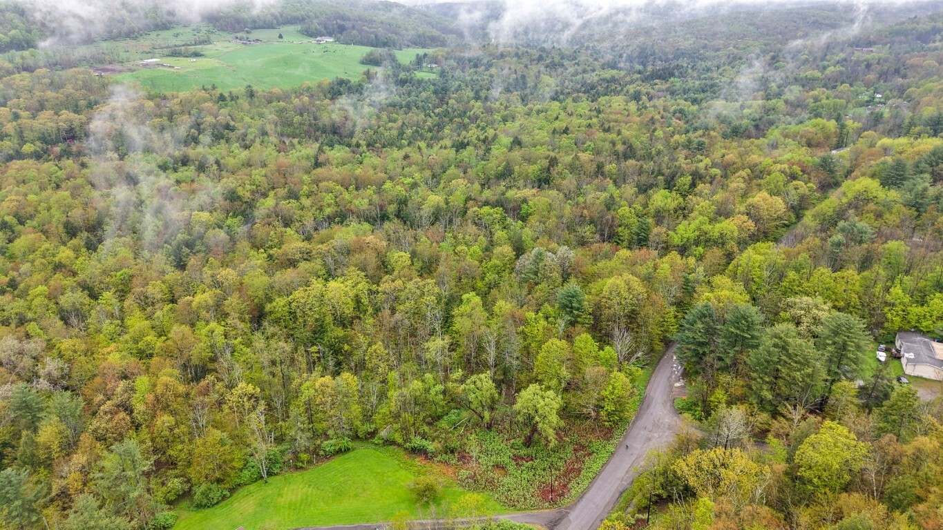 505 Phillips Road  Windsor NY 13865 photo