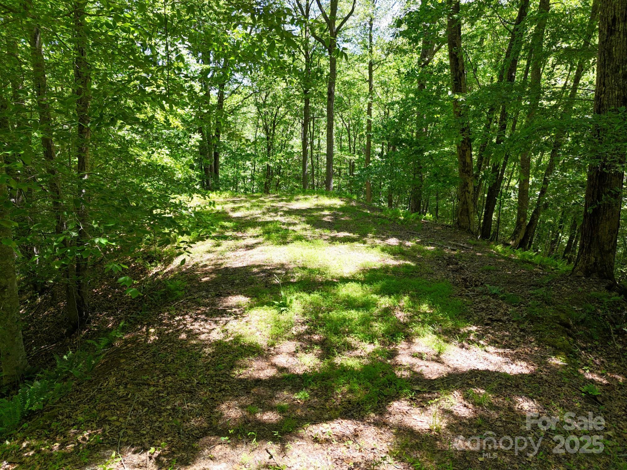 Property Photo: 0 Elkhorn Ridge Drive 46 NC 28734