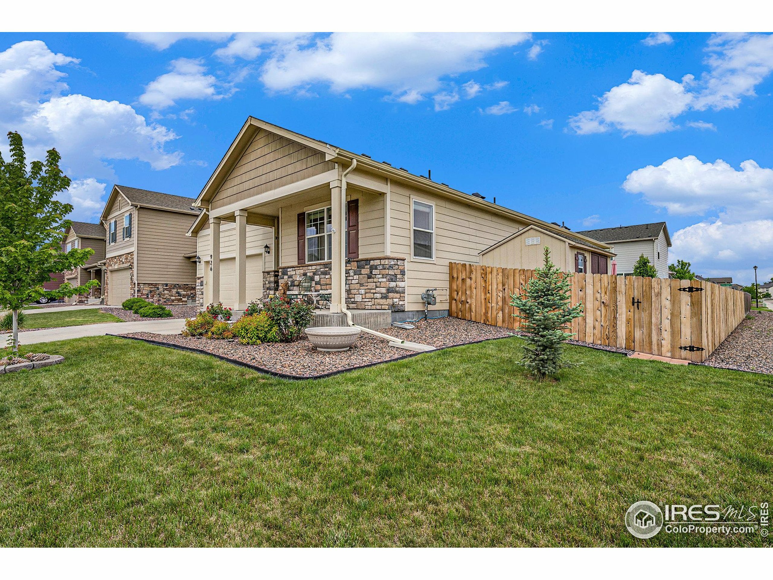 926 Birchdale Ct  Windsor CO 80550 photo