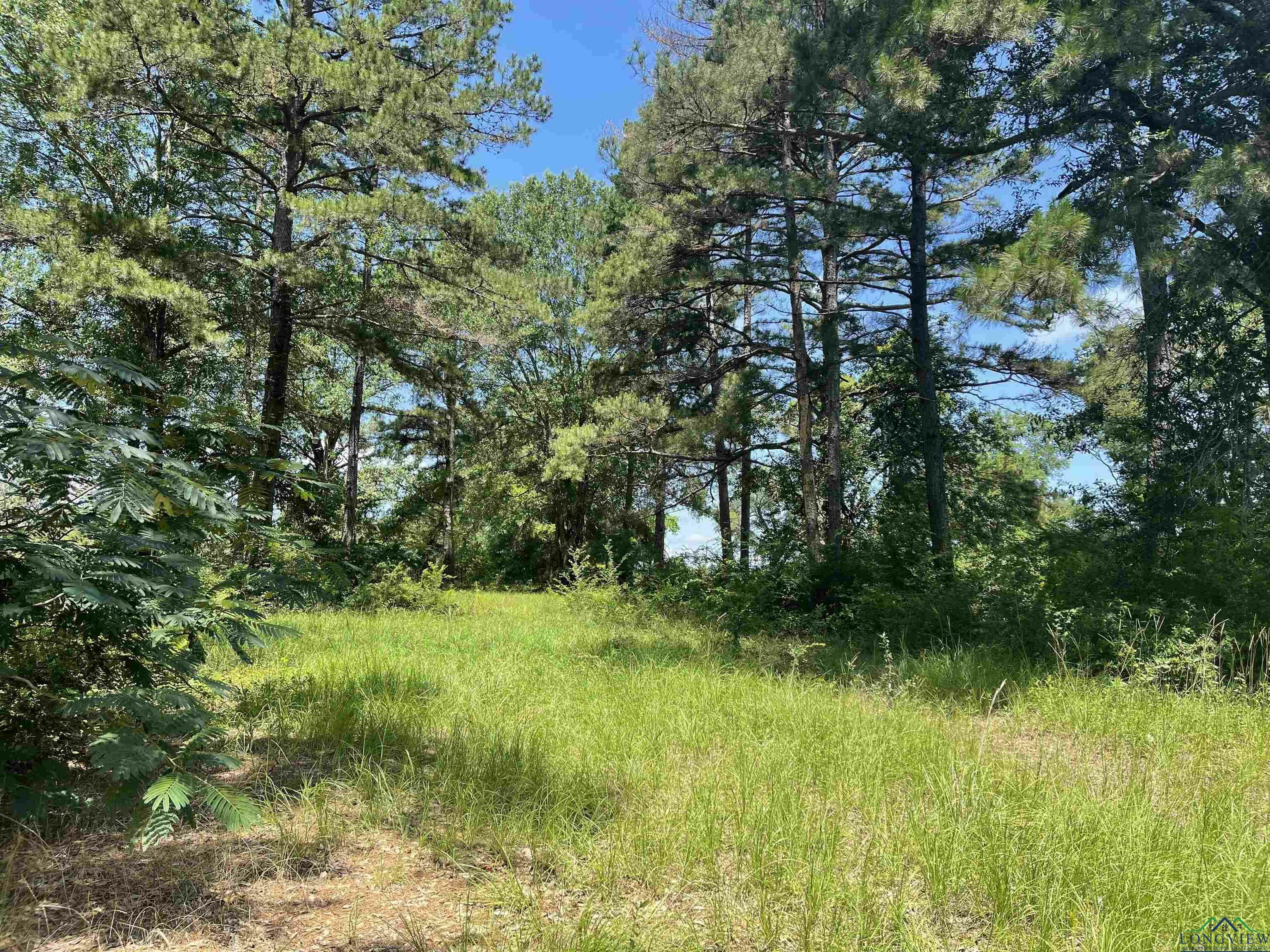 Property Photo: Tbd Fm 1970 TX 75633