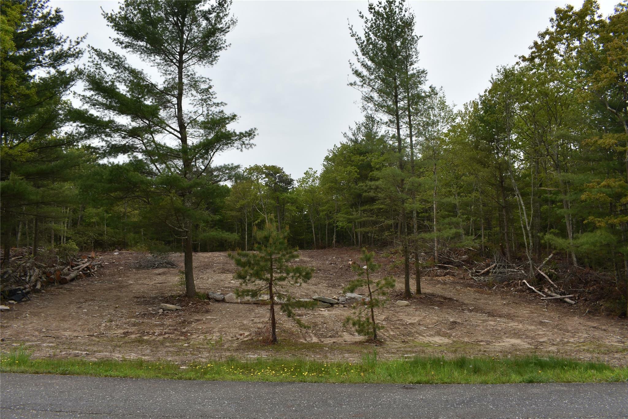 Property Photo: Lot 10 Big Rock Drive NY 12790
