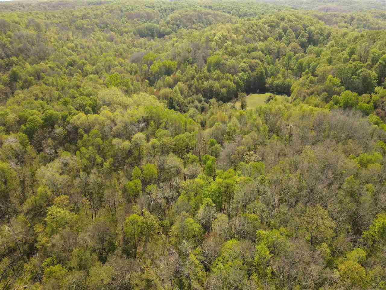 Property Photo: Tbd Mt. Bliss MI 49727
