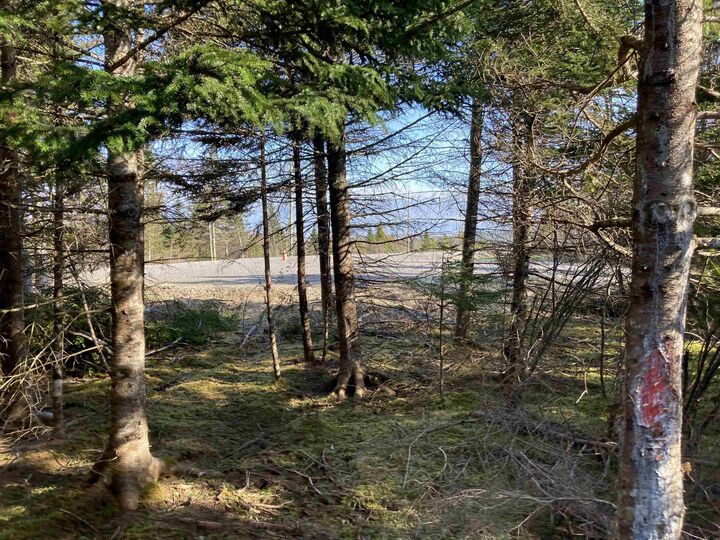 Property Photo: Lot 21-5 Mary Cecelia Ridge NS B0H 1P0