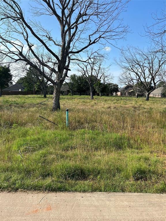 Property Photo: 2165 Middlewood Circle TX 76049