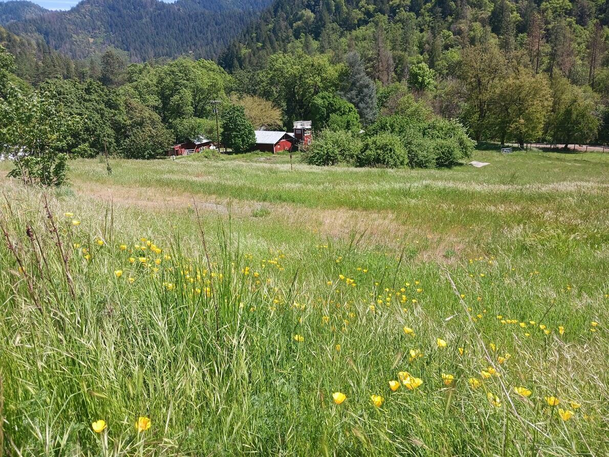 Property Photo:  14855 E Evan'S Creek Road  OR 97537 