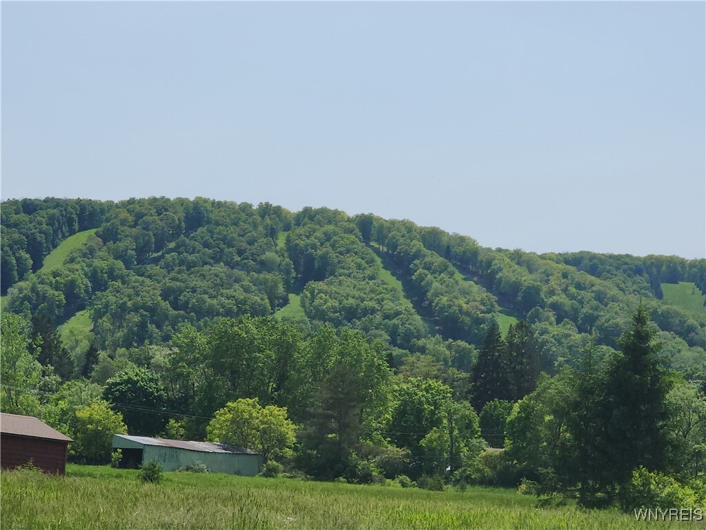 Property Photo: 24 Fillmore Drive NY 14779