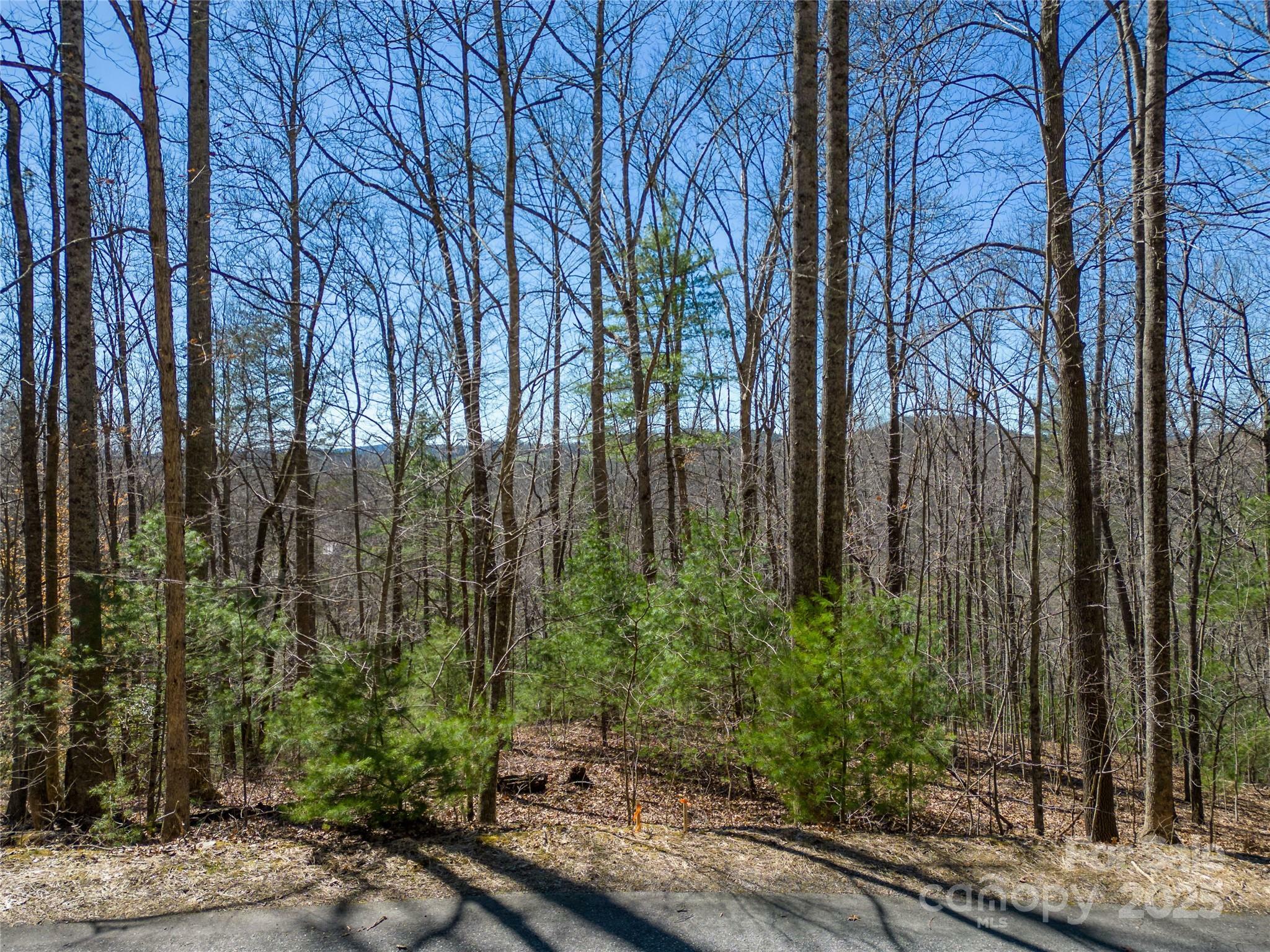 Property Photo: 132 Overlook Park Drive 51 NC 28792
