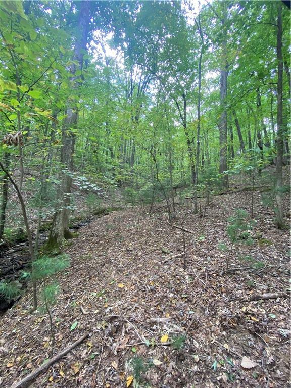 Property Photo: 0 Valley View Road GA 30536