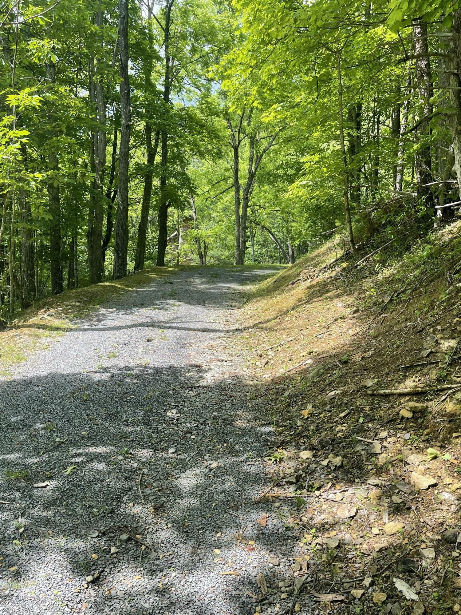 Property Photo: Cove Creek Rd WV 24941
