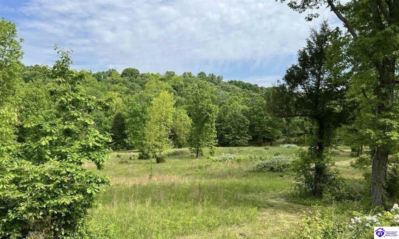 Property Photo: Lot 2 Constantine Road KY 42724