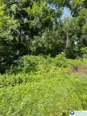 Property Photo: 80 County Line Road 519 PA 08865
