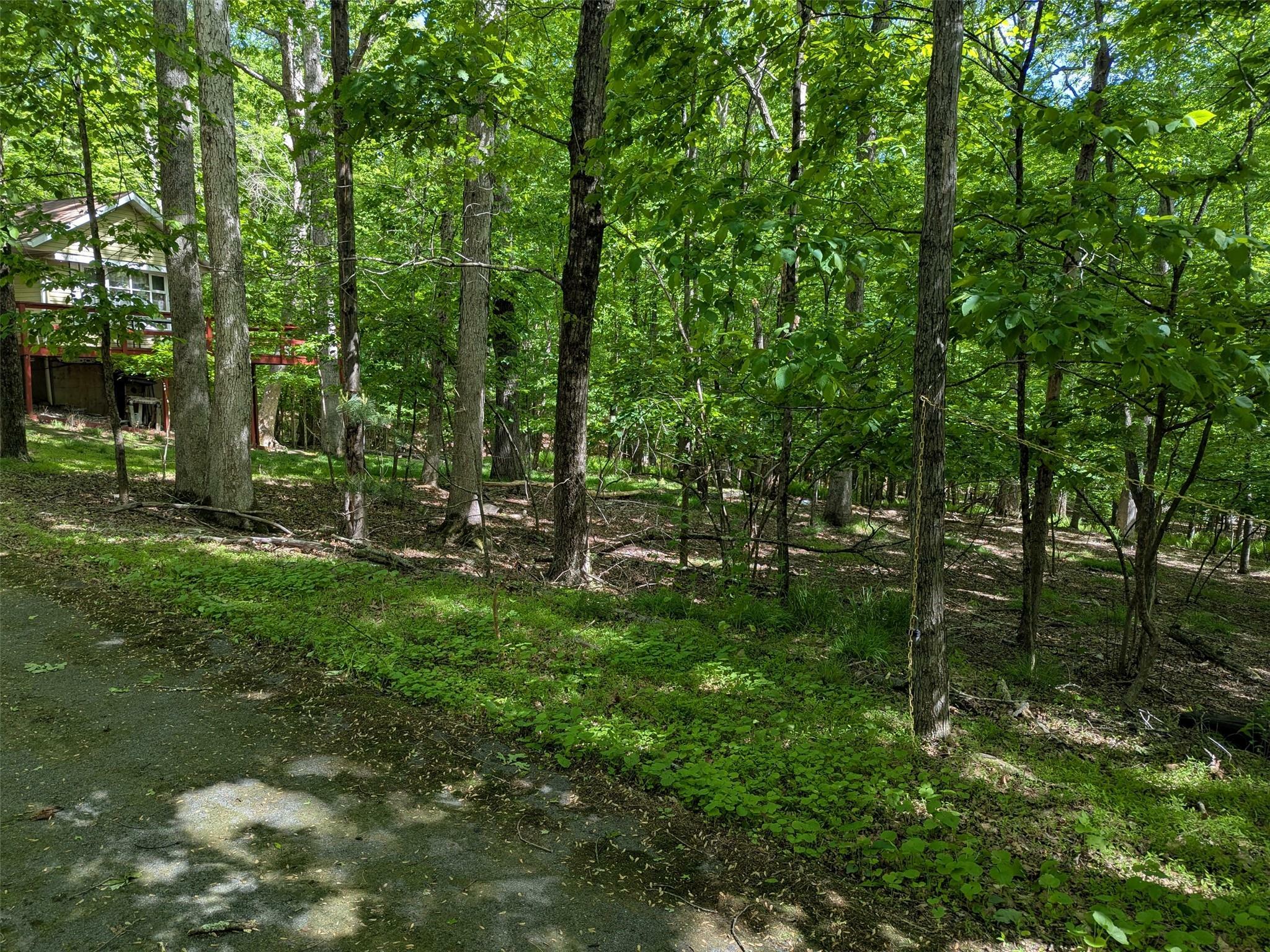 Property Photo: 470 Peenpack Trail NY 12746