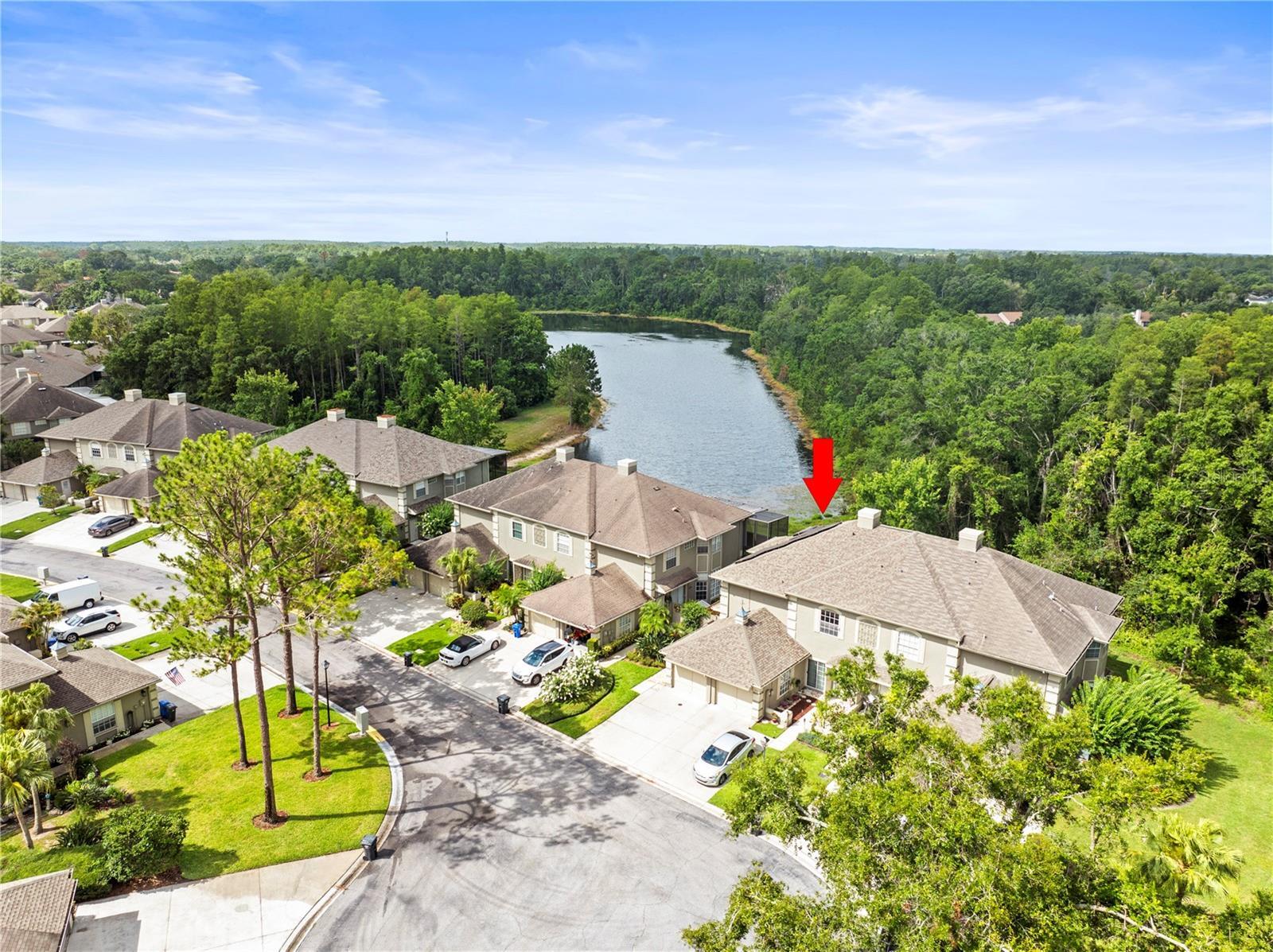 Property Photo: 14134 Trouville Drive FL 33624