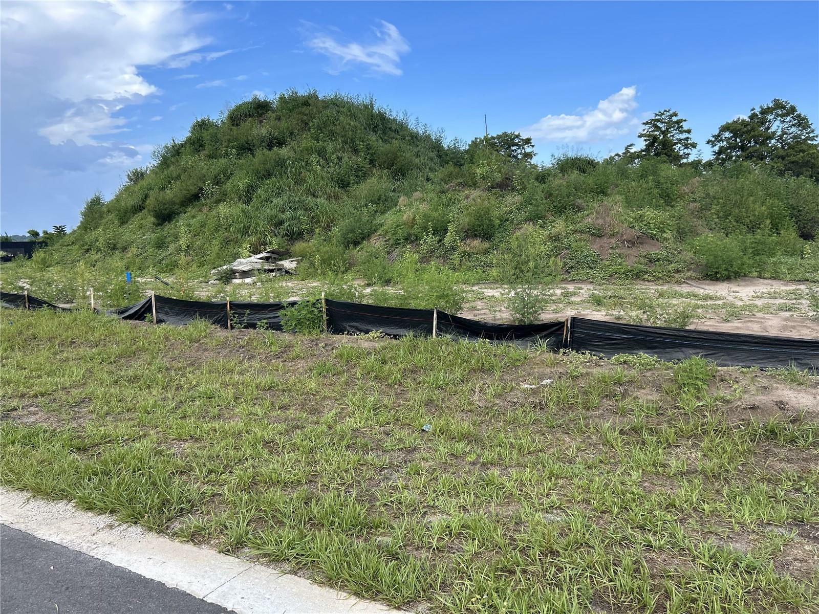 Property Photo: 12938 Stillwater Cove Drive FL 34705