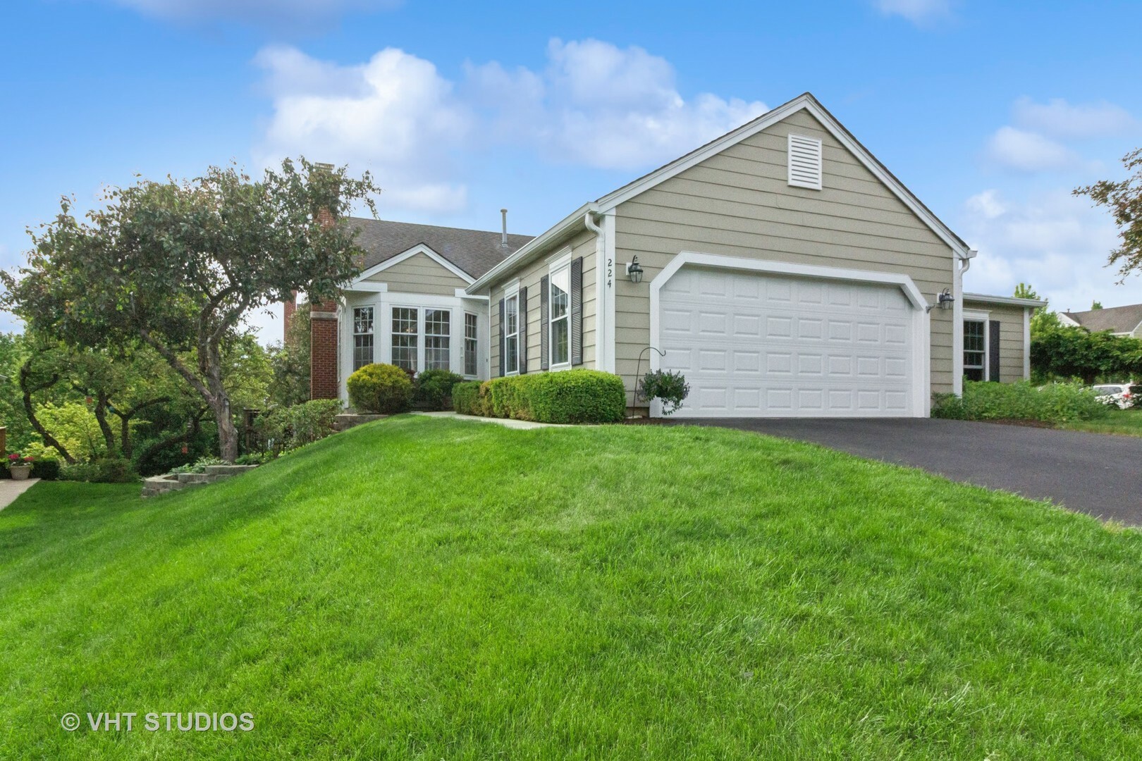 Property Photo: 224 Millington Way IL 60174