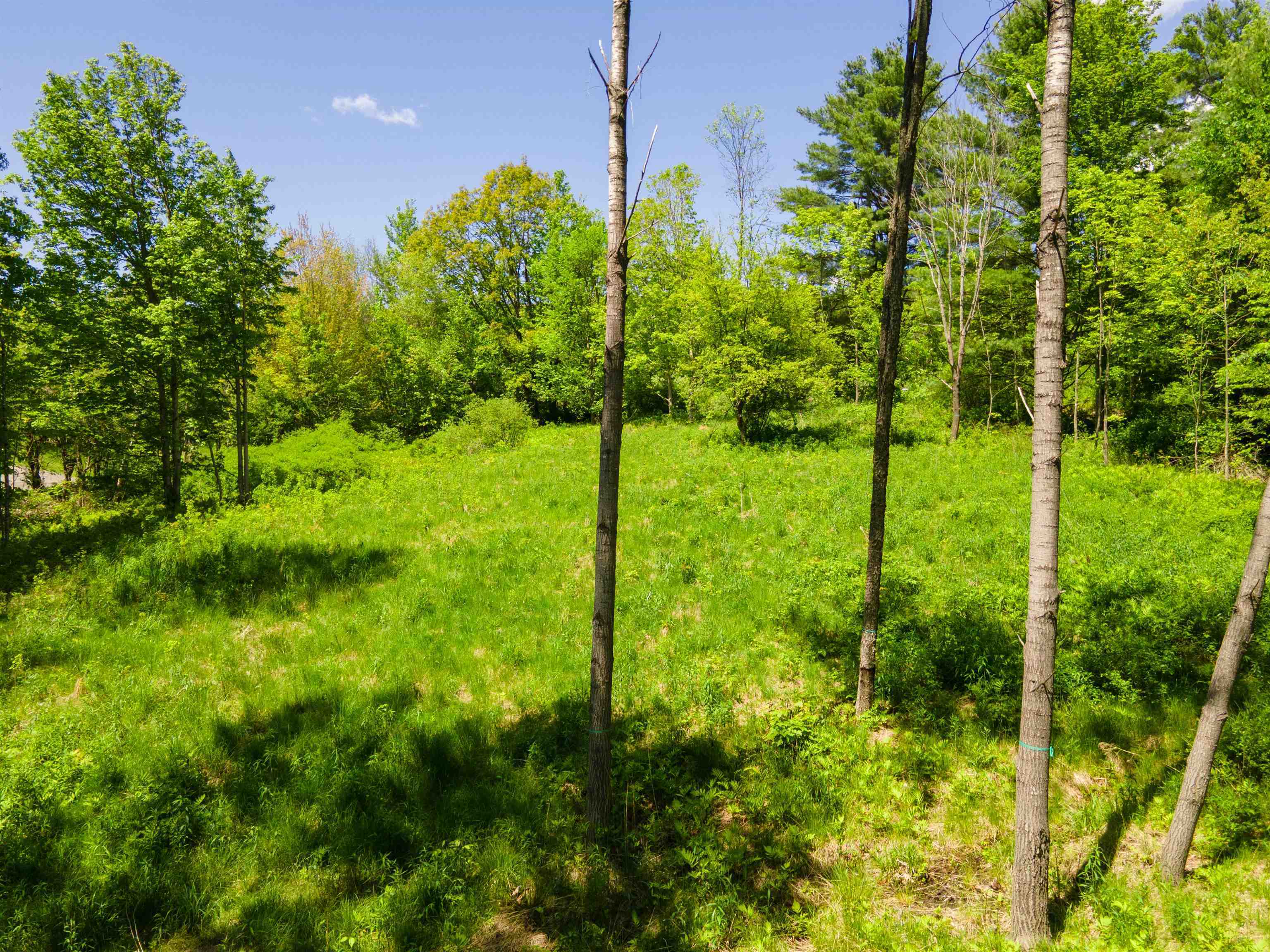 Property Photo: 381 E Green Mountain Road NH 03743