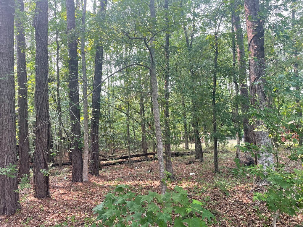 Property Photo:  Gin Pond Dr.  SC 29048 
