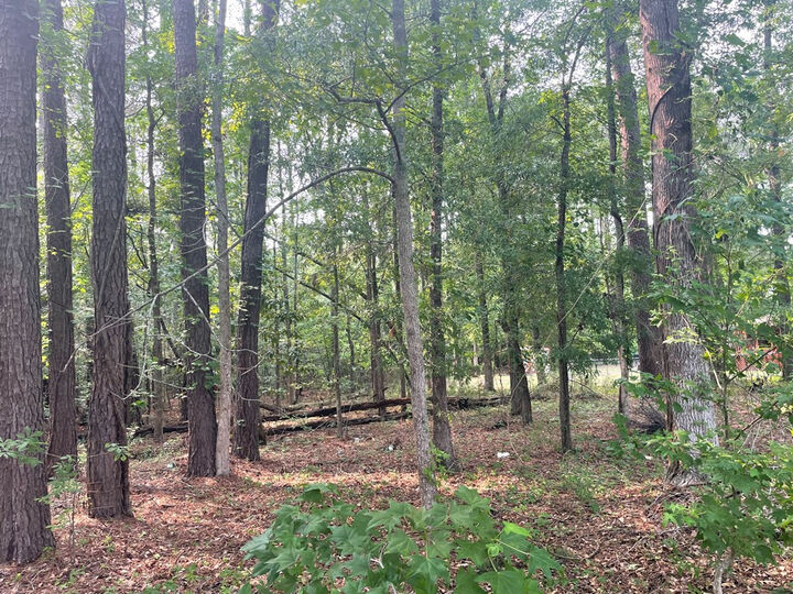 Property Photo: 0 Gin Pond Drive SC 29048