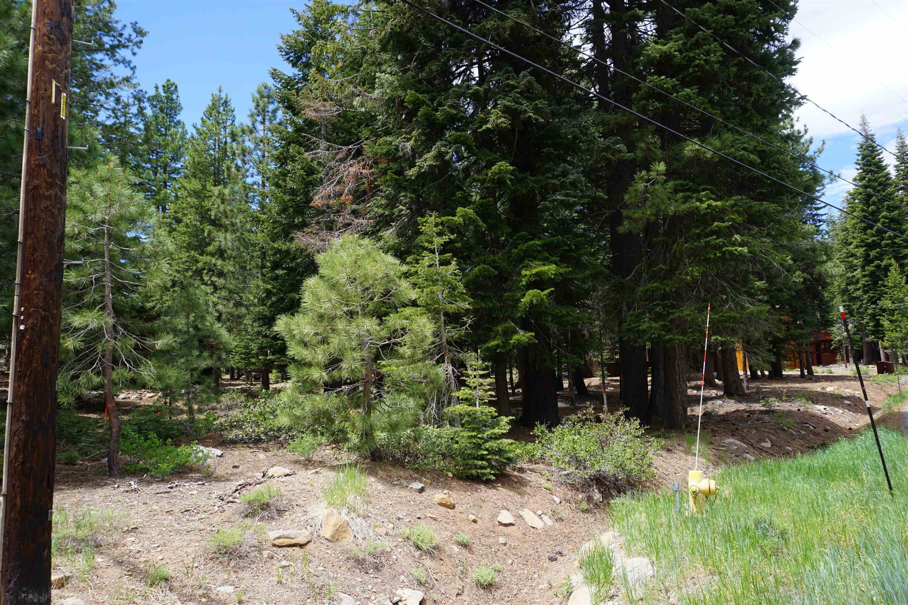 Property Photo:  13436 Weisshorn Avenue  CA 96161-0000 