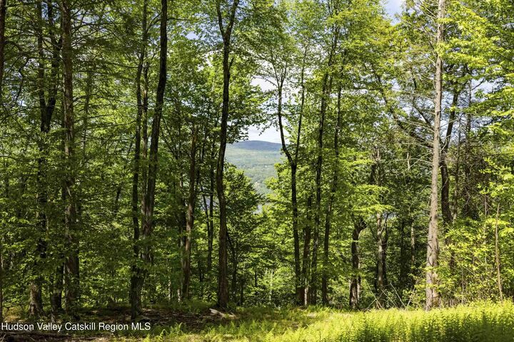 Property Photo:  2 Red Rock  NY 12489 