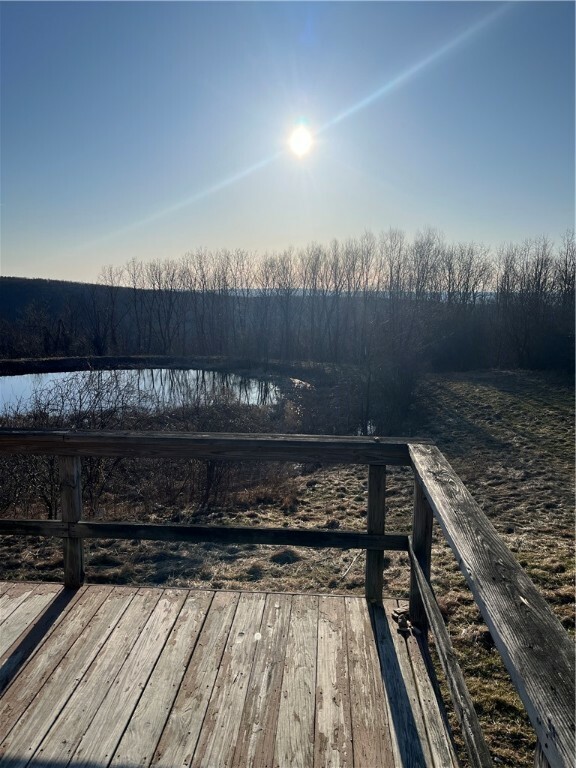 Property Photo: 3709 Dean Rd NY 14869