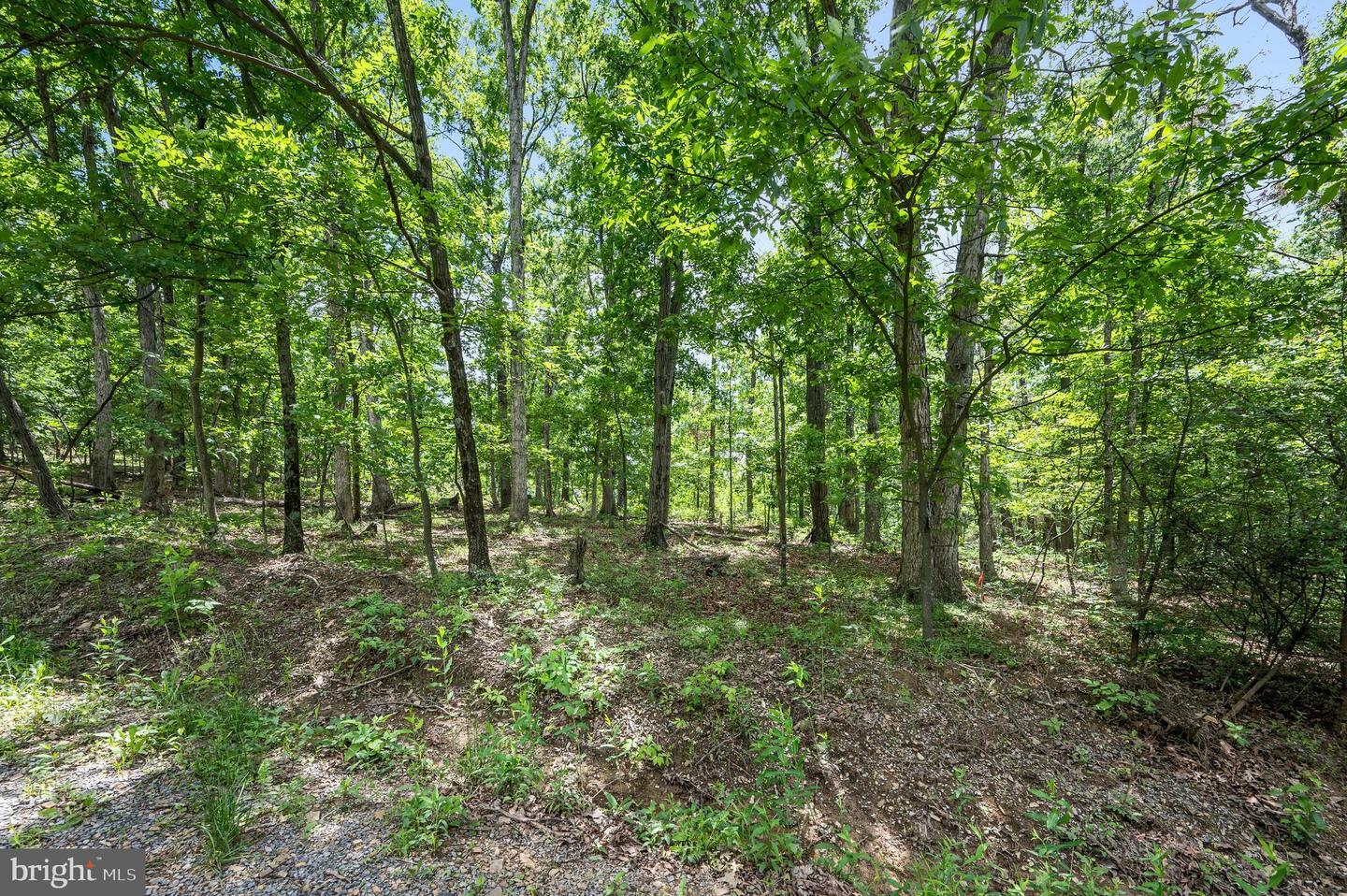 Property Photo:  Lot 8 Glen Ridge Road  VA 22601 