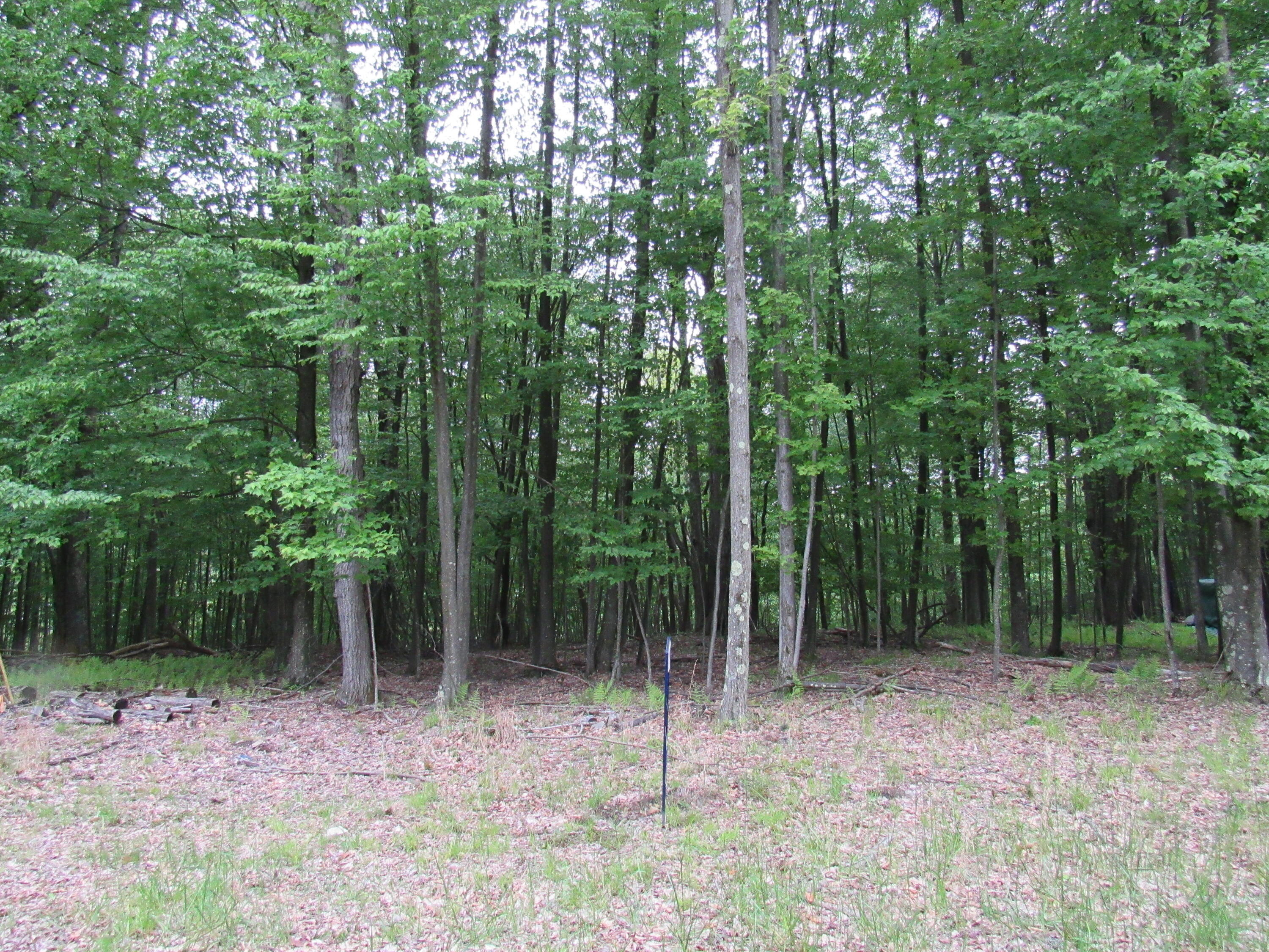 14 Port Au Prince Rd  Dubois PA 15801 photo