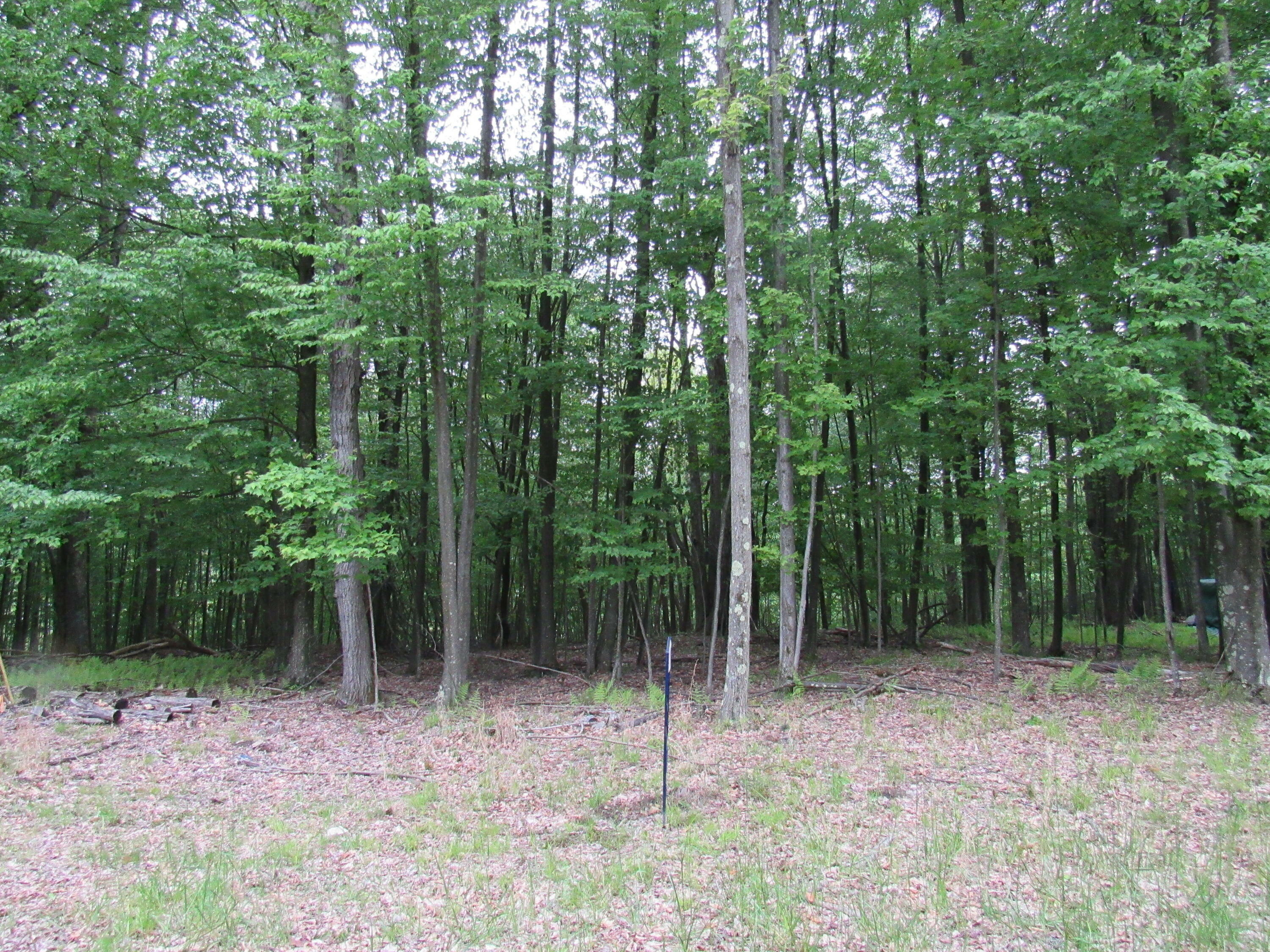 Property Photo: 14 Port Au Prince Rd PA 15801