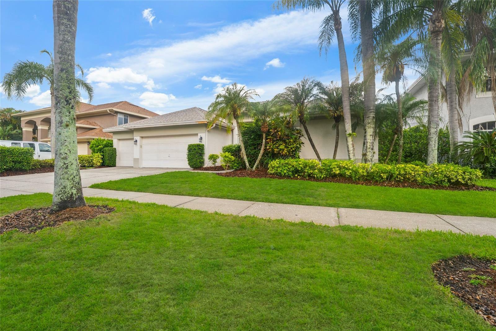 Property Photo: 9402 Woodbay Drive FL 33626