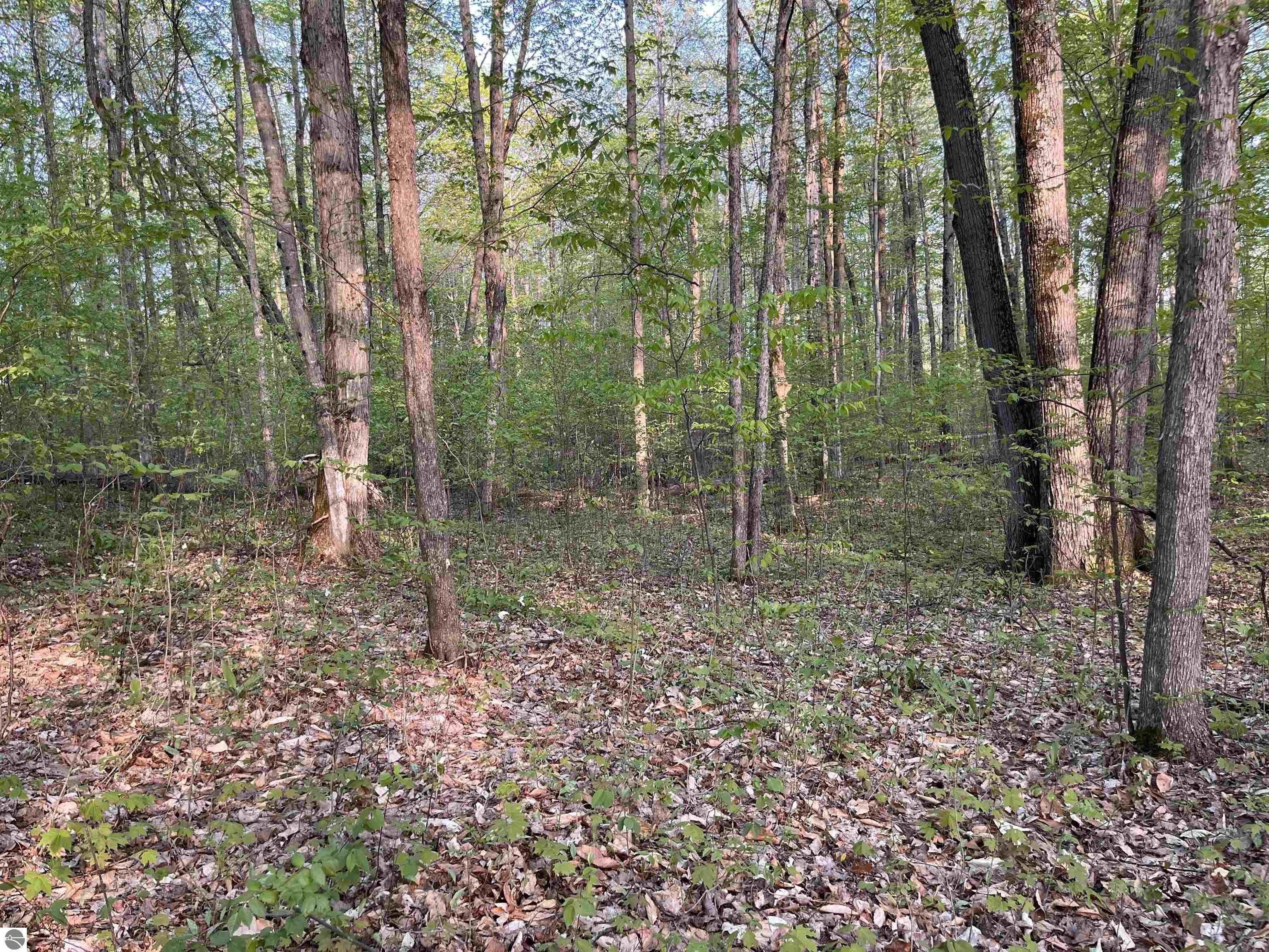 Property Photo: 000 Par-King Drive MI 49615