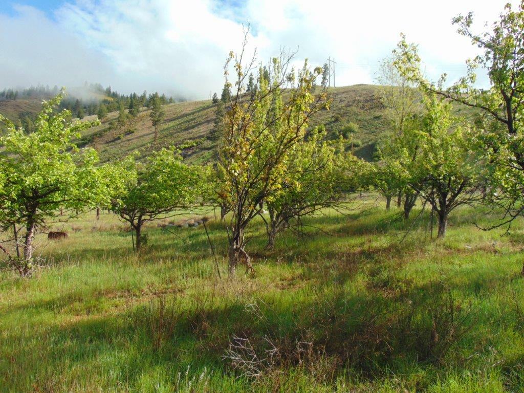 Property Photo:  27235 Lazy Springs Road  MT 59825 