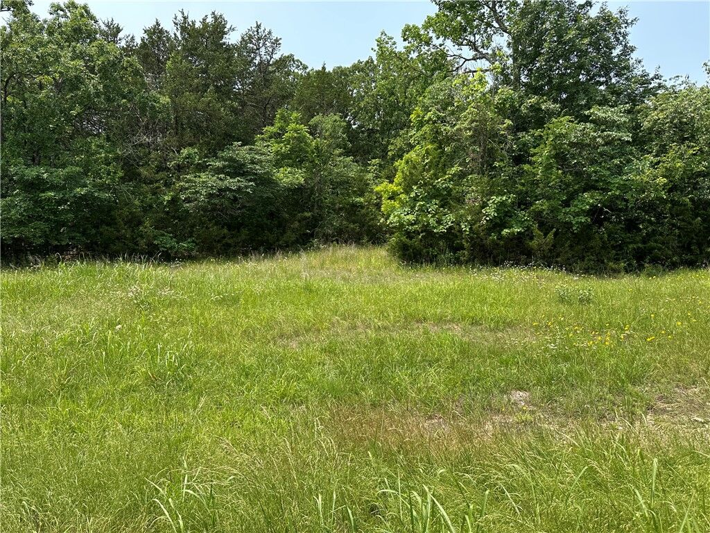 Property Photo: 000 Somonauk Drive AR 72630