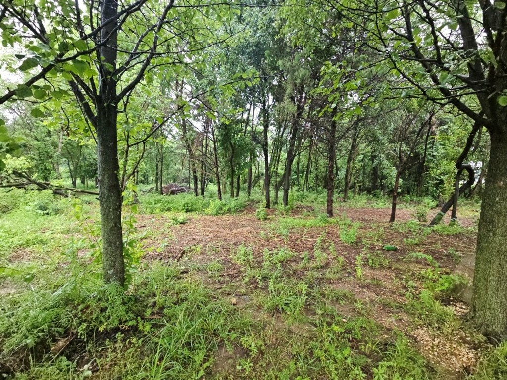 Property Photo: Tbd W Dyke Road AR 72758