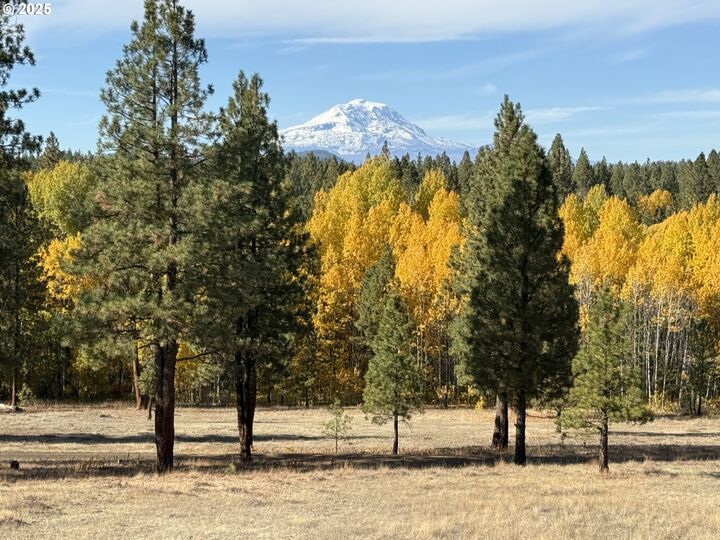 Property Photo:  12 Keystone Dr  WA 98620