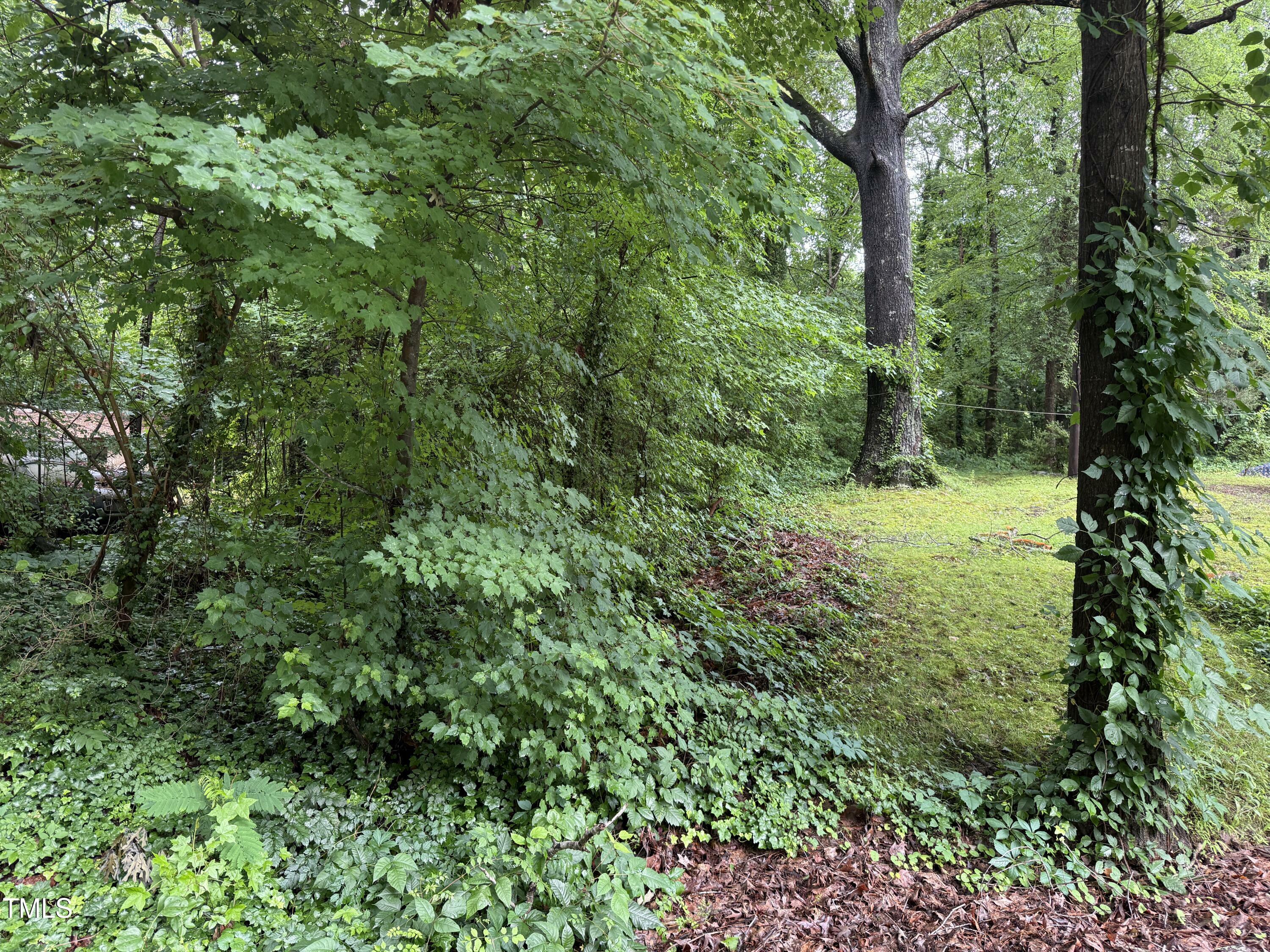 Property Photo: 00 Thomas Street NC 27536