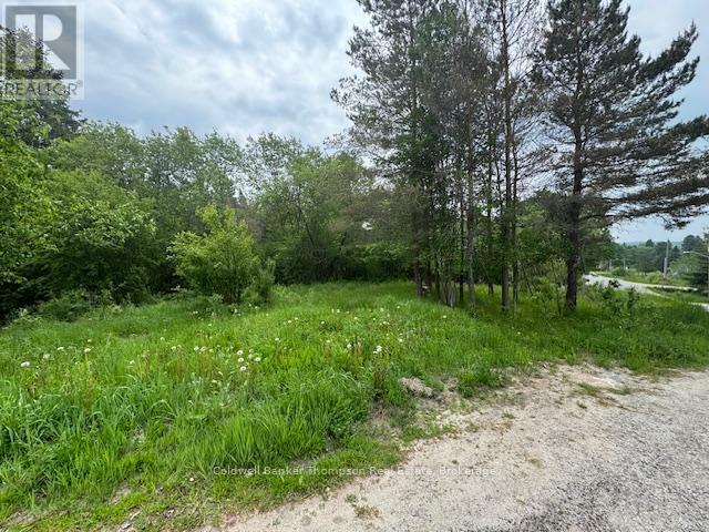 Photo de la propriété: 0 Church Street Southeast ON P0A 1P0