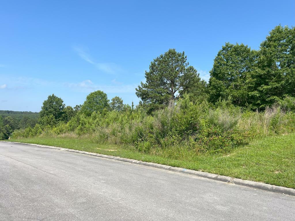 Property Photo: 0 Stonegate Place GA 30710