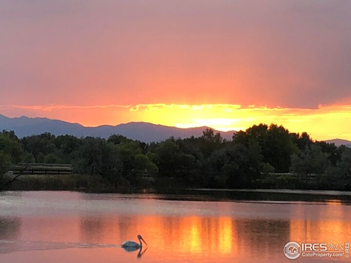 Property Photo:  116 Cobble Ct  CO 80550 