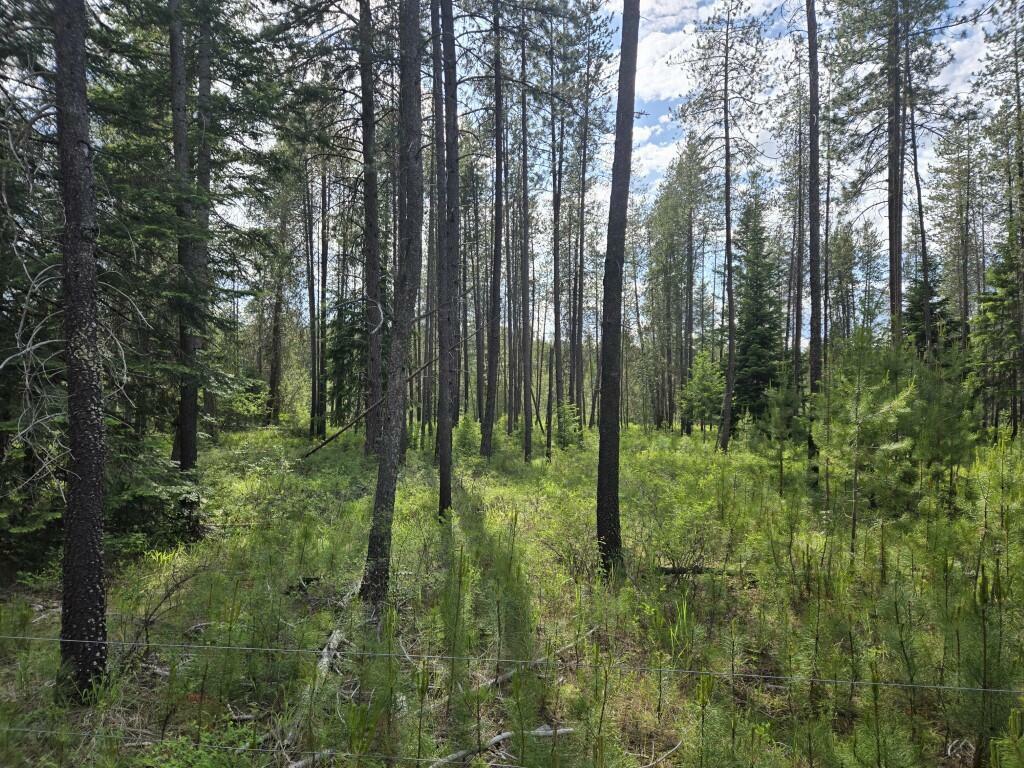 Property Photo: 26xx Sand Canyon Lot 2 Rd WA 99109