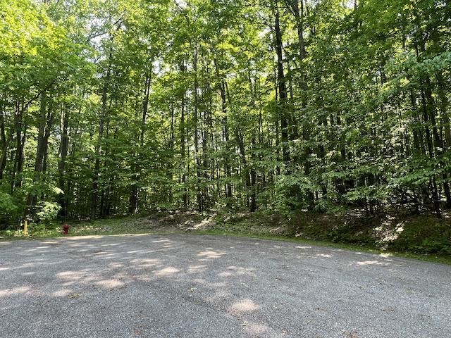 Property Photo: Lot 6 Willow 6 MI 49615