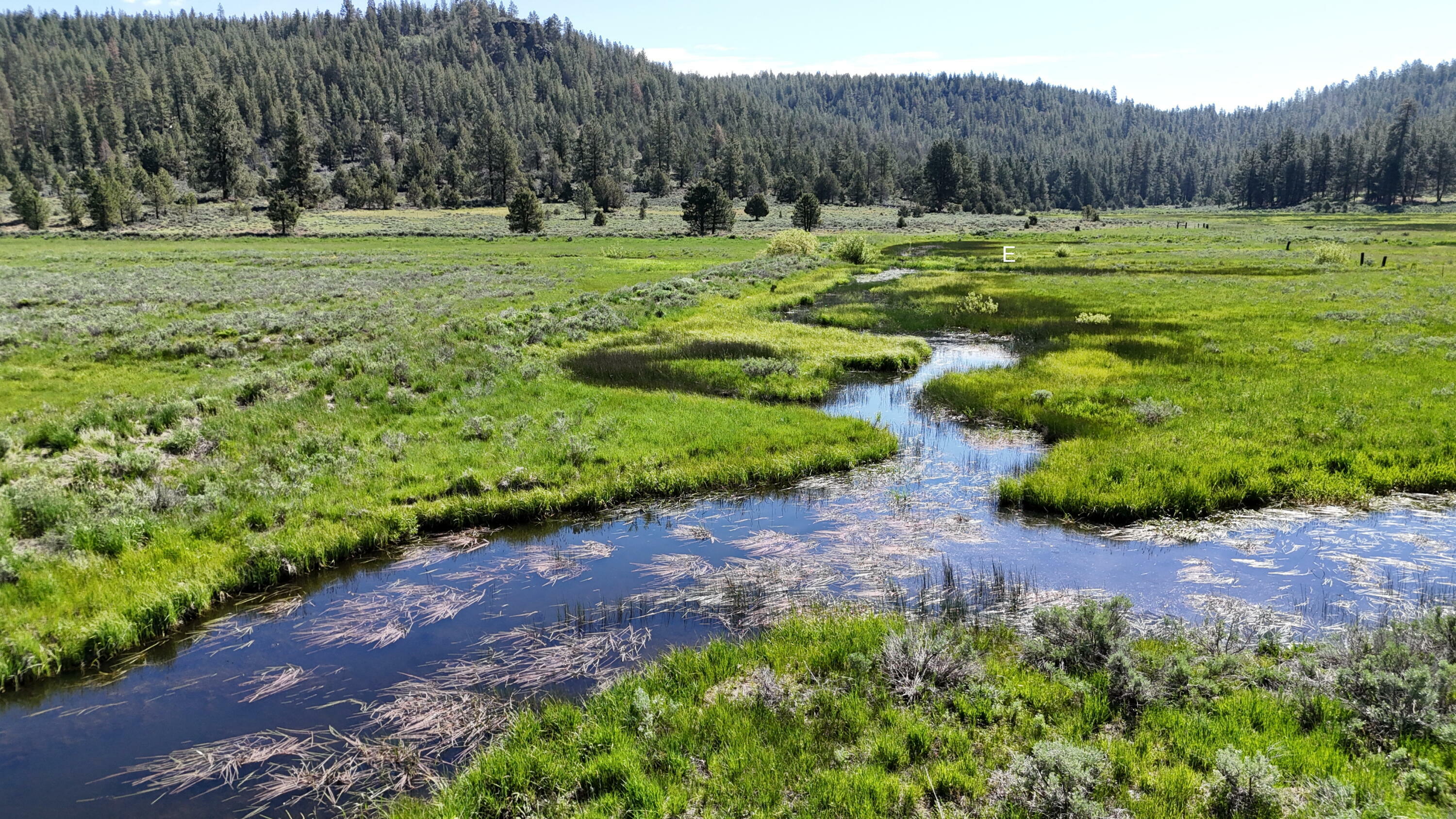 Property Photo: 12 Mile Post 12 Fish Hole Creek OR 97622