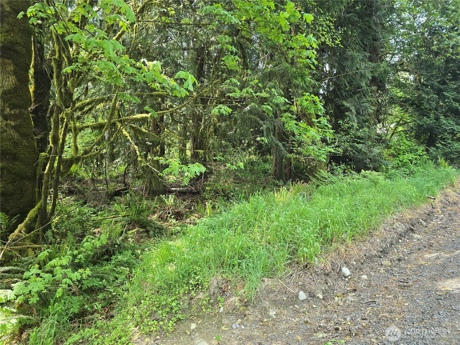 Property Photo: 19 Xx Tower Road WA 98611