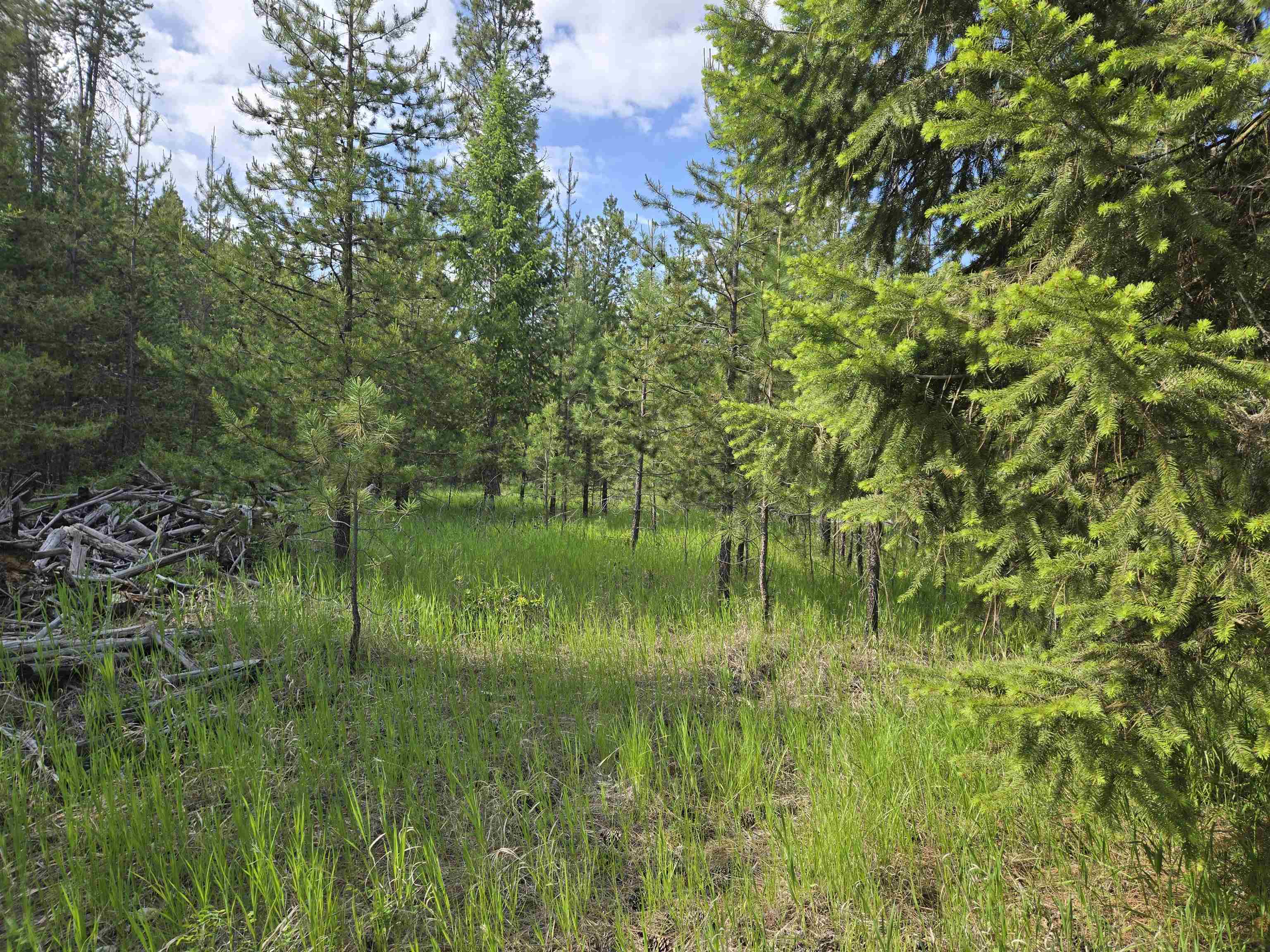 Property Photo: 26xx Sand Canyon Lot 3 Rd WA 99109