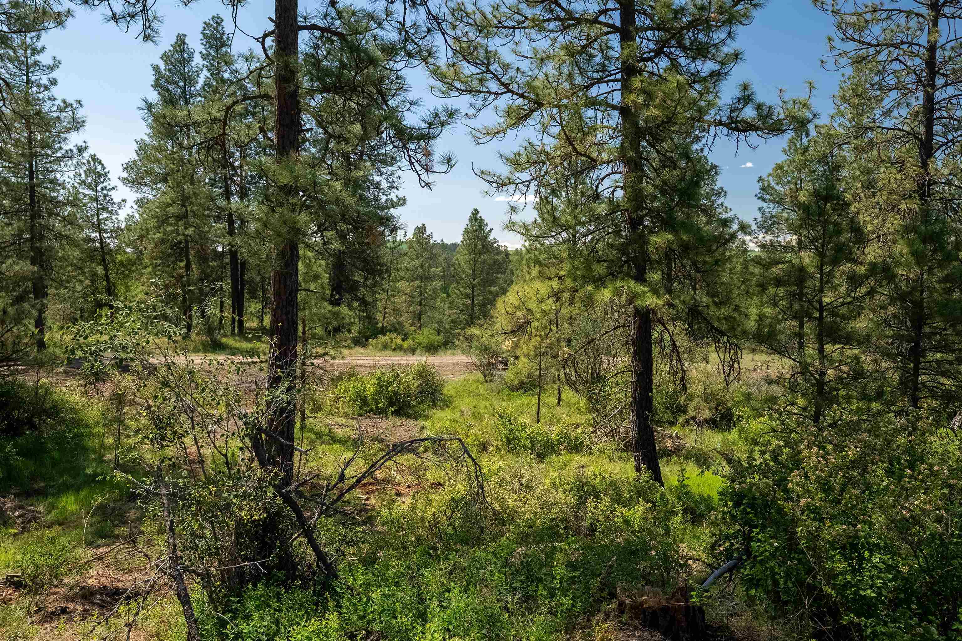 Property Photo: Nka W Anderson Rd WA 99004