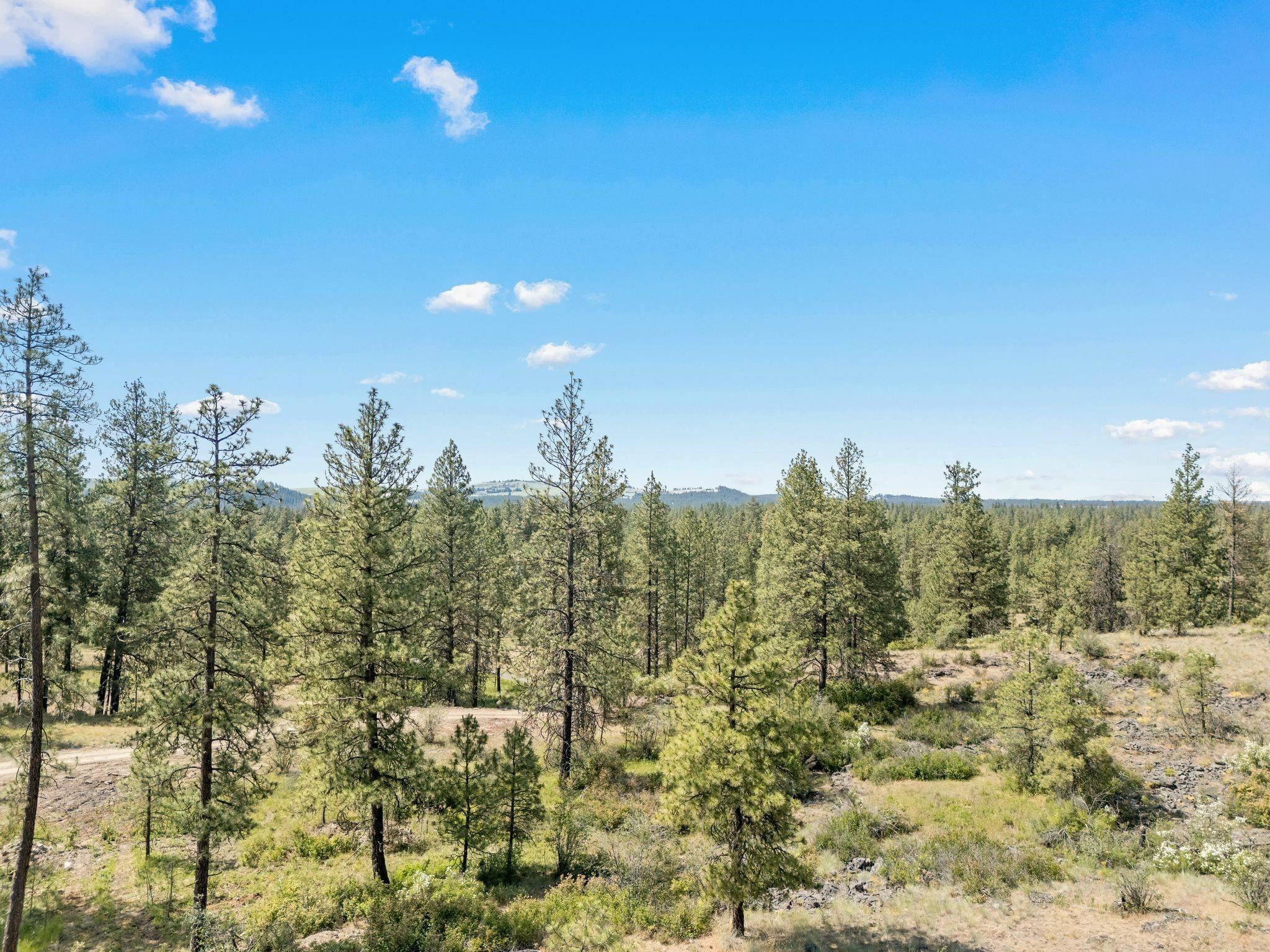 Property Photo: Nka W Anderson Rd WA 99004