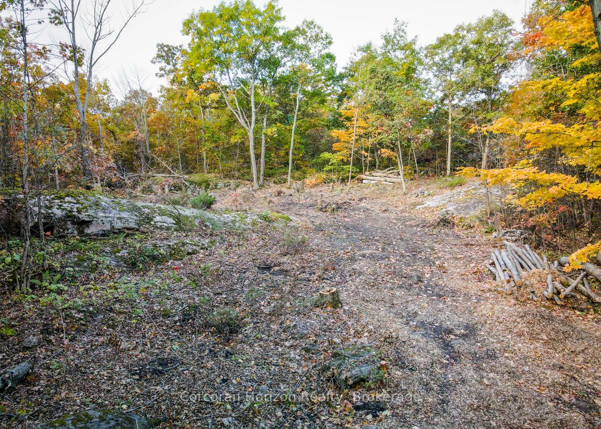 Photo de la propriété:  87 Corrievale Rd N/A Lot A  ON L0K 1S0 