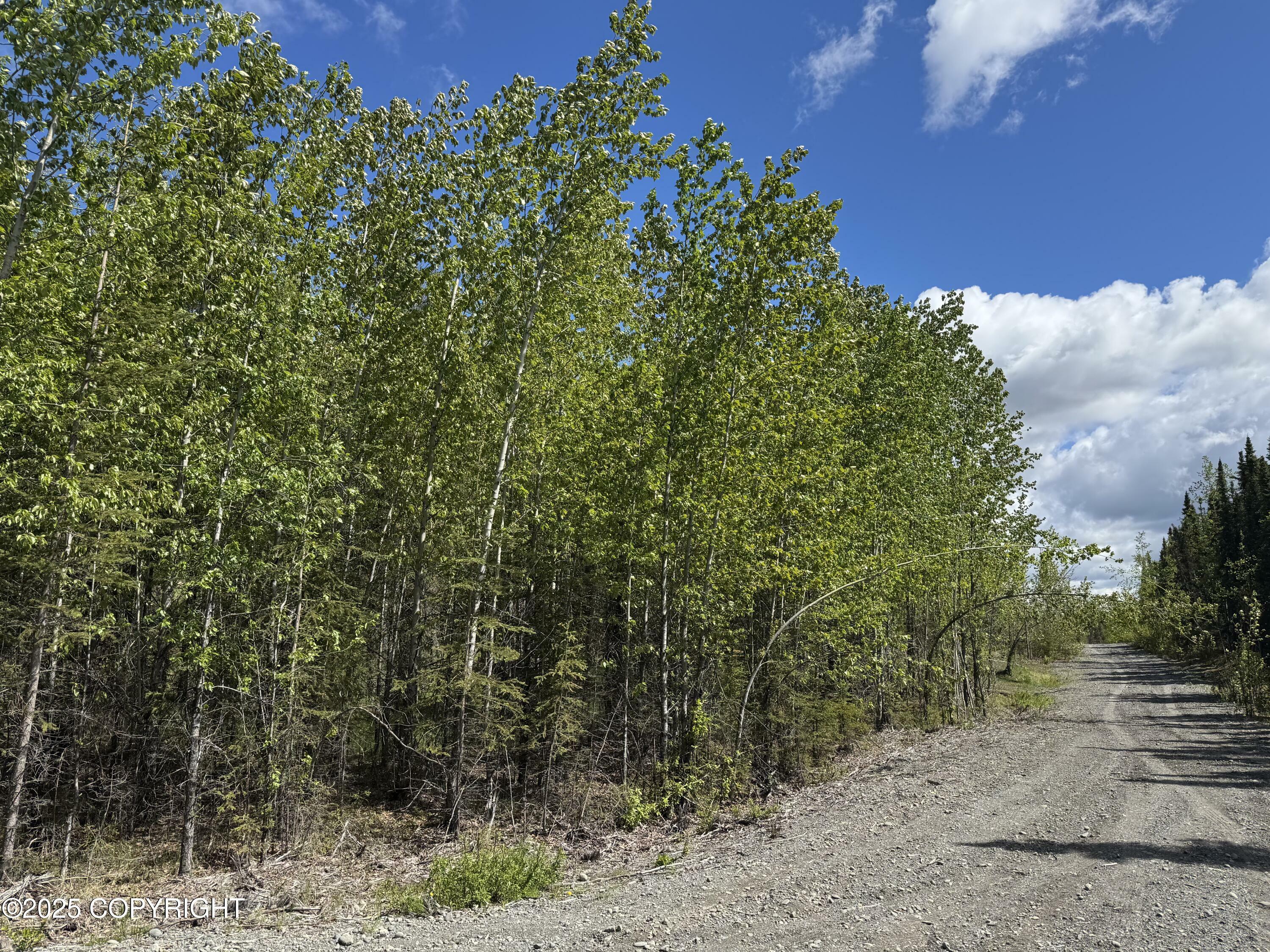 Property Photo: 37050 Future Avenue AK 99672