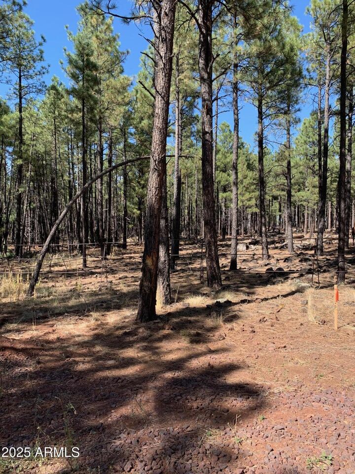 Property Photo: Tbd Dynamite Road - AZ 85929