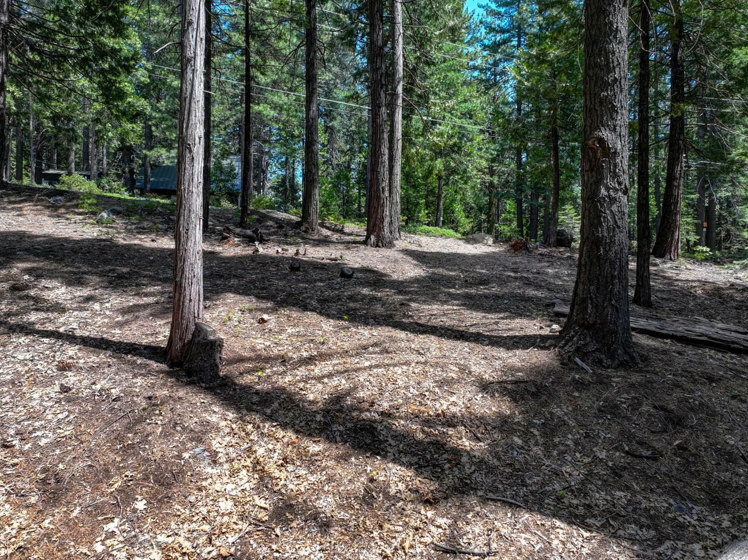 Property Photo: 4741 Meko Drive CA 95223