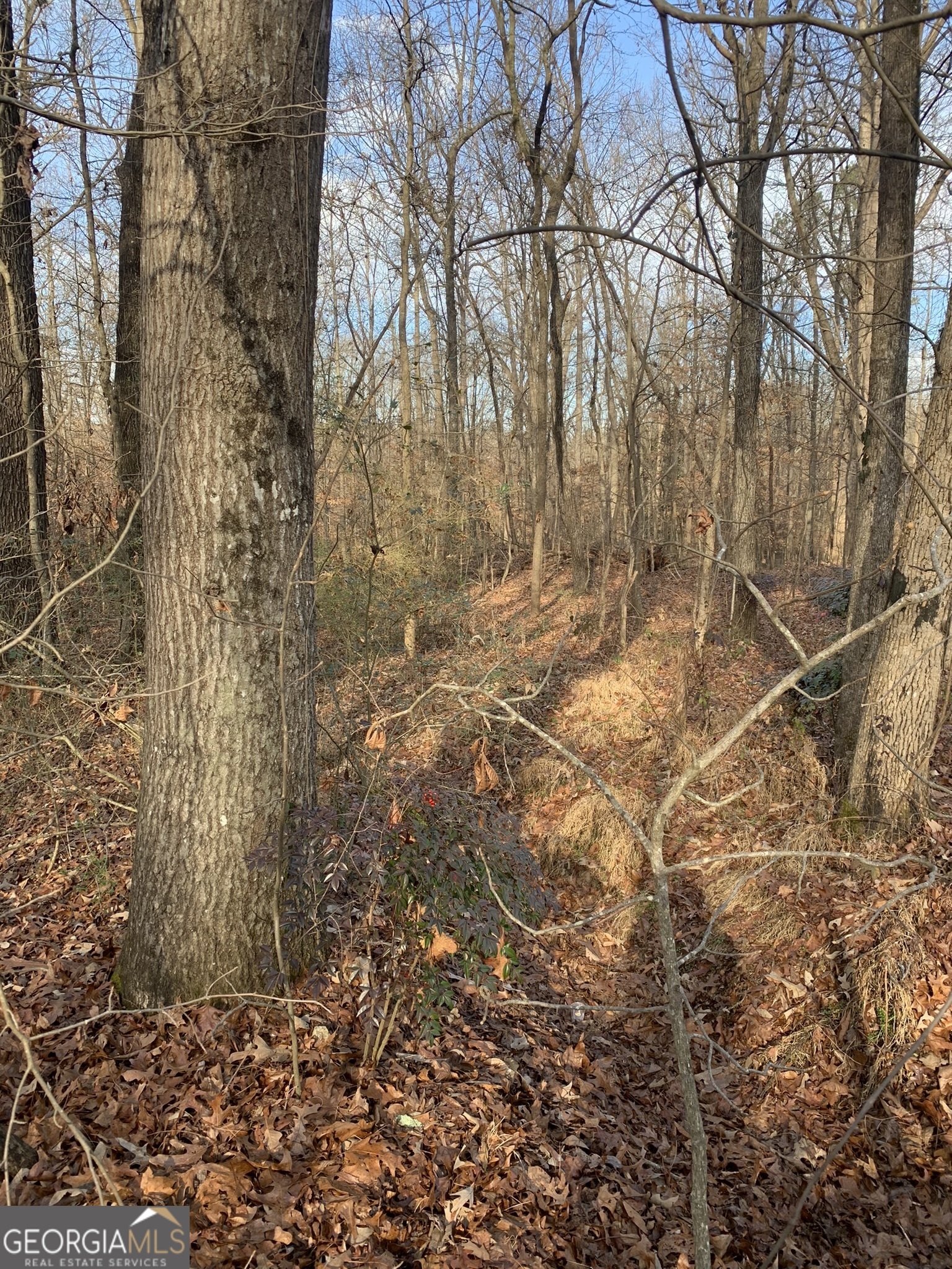 Property Photo: 0 S Tanglewood Drive GA 30662